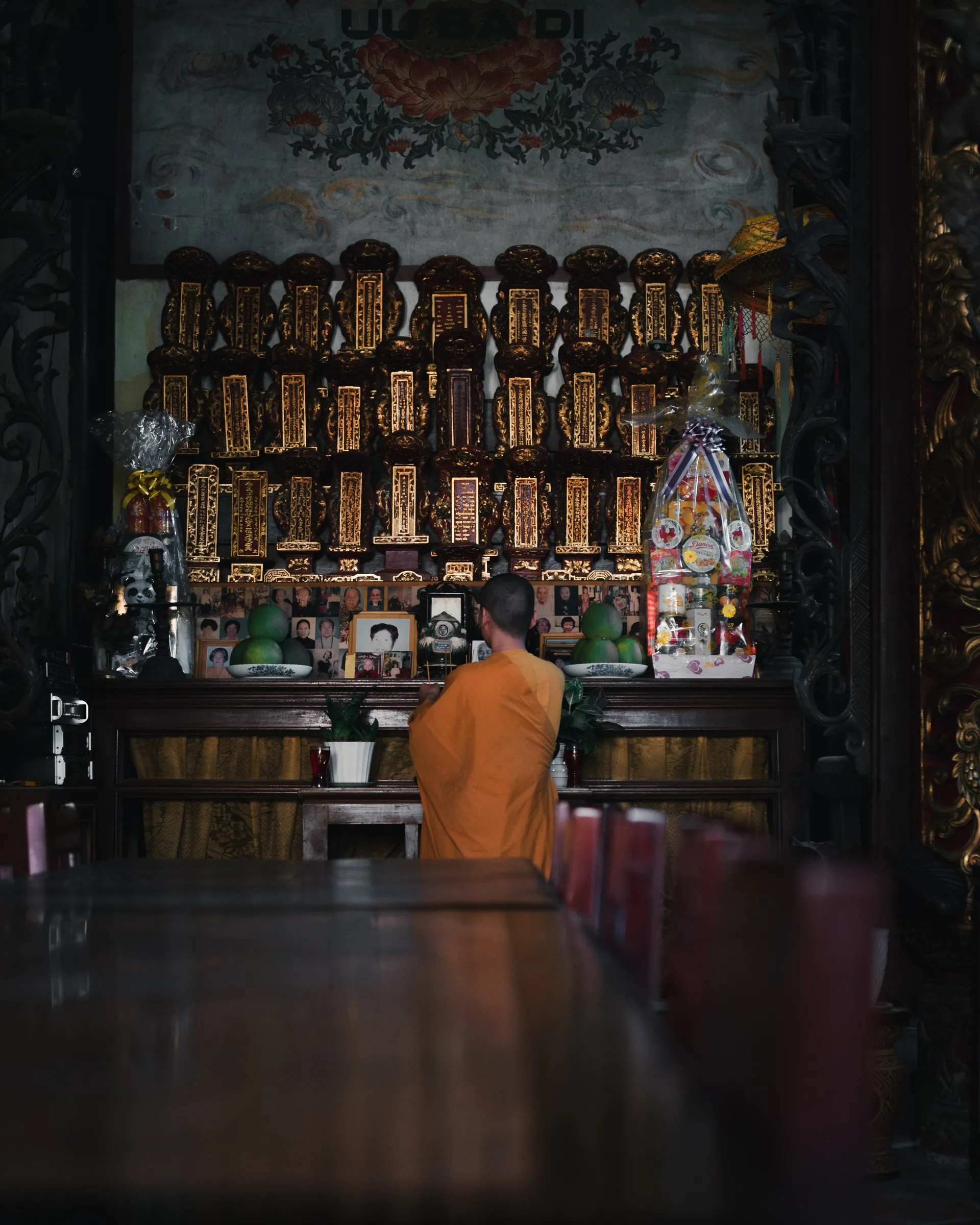 DSCF9220-Enhanced-NR - Copy.JPG